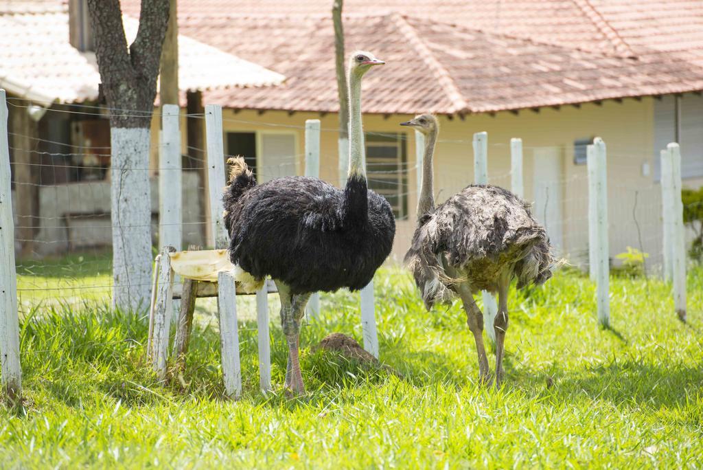 Hotel Fazenda Lagoa Azul em Esmeraldas – MG - Blog Pelas Estradas de Minas